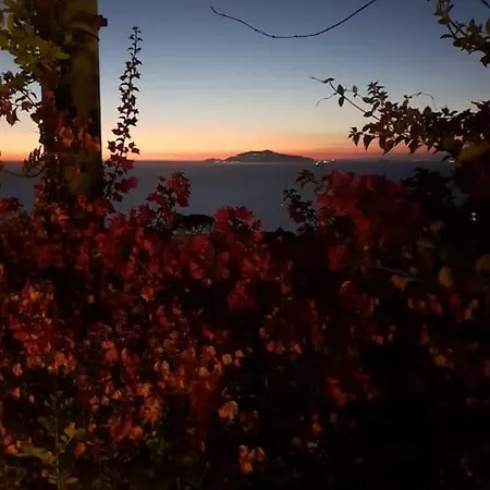شقة Sunset La Piccola Oasi أناكابْري